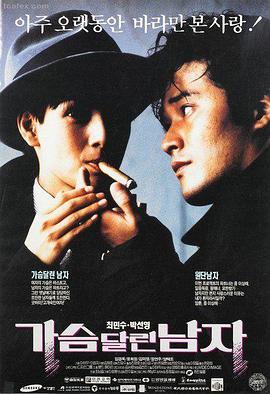 极光手帐